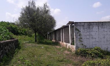 PASO DE OVEJAS, Rancho en VENTA de 80 Hectáreas!