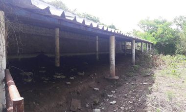 PASO DE OVEJAS, Rancho en VENTA de 80 Hectáreas!