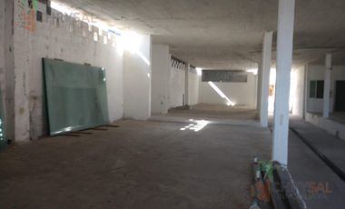 Bodega Industrial en Jesús Luna Luna