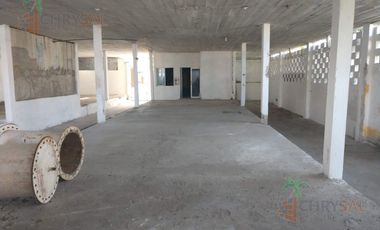 Bodega Industrial en Jesús Luna Luna