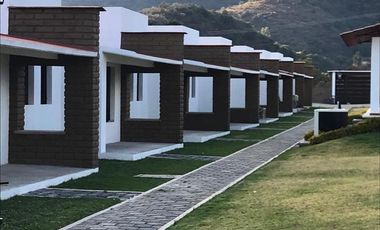 Local - Coaxustenco