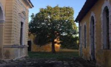 Hacienda Chunchucmil de 10 hectáreas, Cerca de la Playa, Maxcanú, Yucatán
