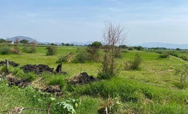 Terreno en Jojutla de Juárez Centro