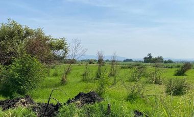 Terreno en Jojutla de Juárez Centro