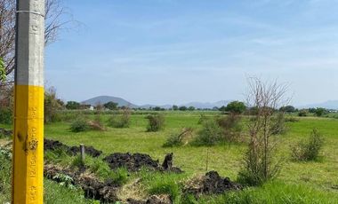 Terreno en Jojutla de Juárez Centro