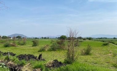 Terreno en Jojutla de Juárez Centro