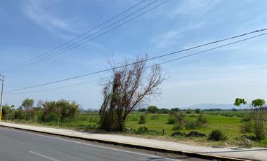 Terreno en Jojutla de Juárez Centro