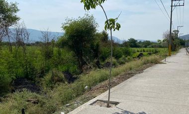 Terreno en Jojutla de Juárez Centro