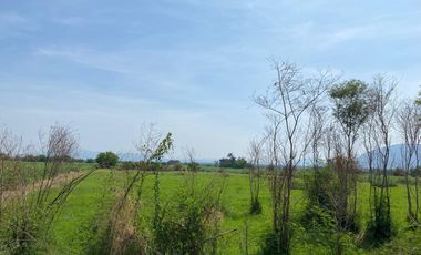 Terreno en Jojutla de Juárez Centro