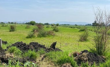 Terreno en Jojutla de Juárez Centro