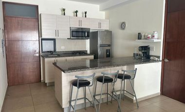 CONDESA RESIDENCIAL
