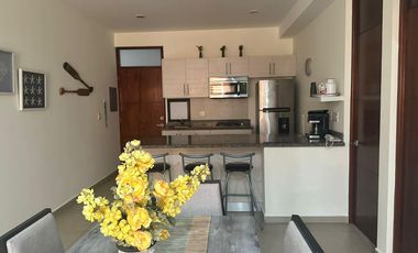 CONDESA RESIDENCIAL