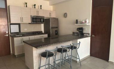 CONDESA RESIDENCIAL