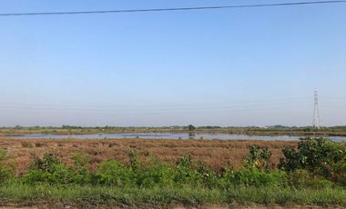For Sale Samut Sakhon Land Rama 2 Na Khok Mueang Samut Sakhon BRE17139