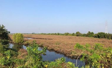 For Sale Samut Sakhon Land Rama 2 Na Khok Mueang Samut Sakhon BRE17139