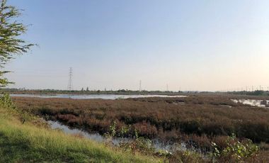 For Sale Samut Sakhon Land Rama 2 Na Khok Mueang Samut Sakhon BRE17139