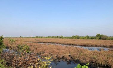 For Sale Samut Sakhon Land Rama 2 Na Khok Mueang Samut Sakhon BRE17139