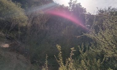 VENDE LIMACHE PARCELA FUNDO BORRIQUEROS