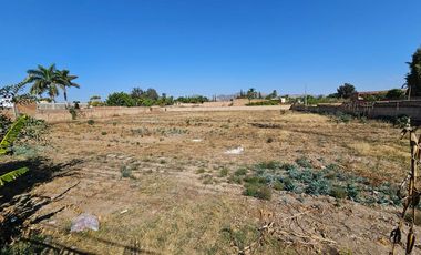 Terreno Comercial en Renta Tesistan sobre avenida