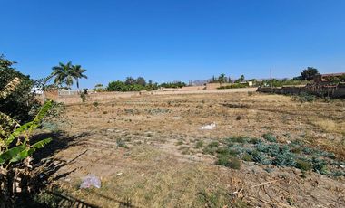 Terreno Comercial en Renta Tesistan sobre avenida