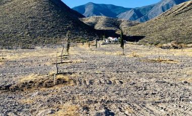 MAGNIFICA PROPIEDAD A SUPER PRECIO UBICADO EN PARRAS DE LA FUENTE COAHUILA