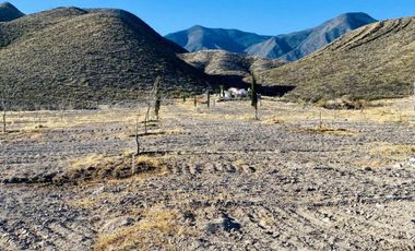 MAGNIFICA PROPIEDAD A SUPER PRECIO UBICADO EN PARRAS DE LA FUENTE COAHUILA