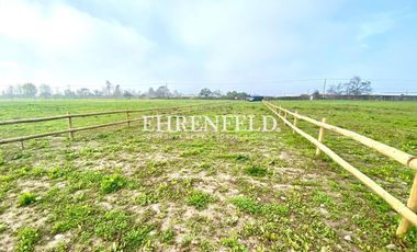 San Isidro, Quillota. Terrenos en Venta.