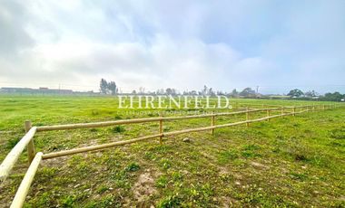 San Isidro, Quillota. Terrenos en Venta.