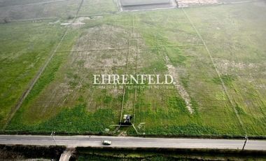 San Isidro, Quillota. Terrenos en Venta.