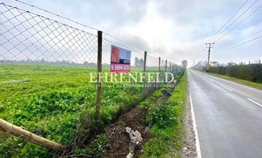 San Isidro, Quillota. Terrenos en Venta.