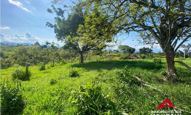 Lote en parcelación, sector vía Alcalá-Cartago