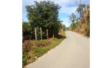 Venta Finca En el Peñol de producción con potencial para parcelar