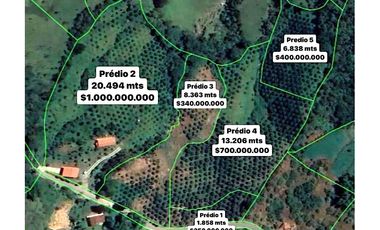 Venta Finca En el Peñol de producción con potencial para parcelar