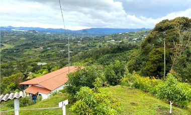 Venta Finca En el Peñol de producción con potencial para parcelar