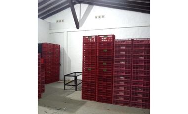 Venta Finca En el Peñol de producción con potencial para parcelar