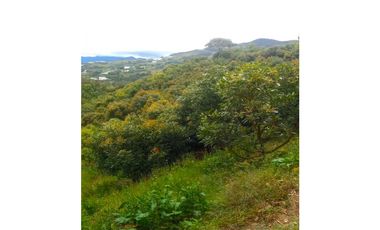 Venta Finca En el Peñol de producción con potencial para parcelar
