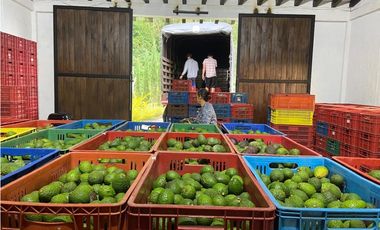 Venta Finca En el Peñol de producción con potencial para parcelar
