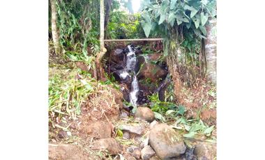 Venta Finca En el Peñol de producción con potencial para parcelar