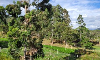 Venta de Apartamento En el Retiro Excelente Unidad Cerrada