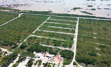 Terreno en Chicxulub a 150 metros de la playa