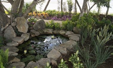 Casa en Venta  Mérida Yucatán, Privada Yaax Beh(Premium) Cholul