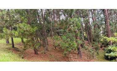 Finca en El Retiro