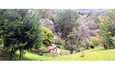 Finca en El Retiro