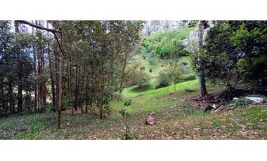 Finca en El Retiro