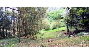 Finca en El Retiro