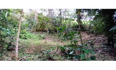 Finca en El Retiro