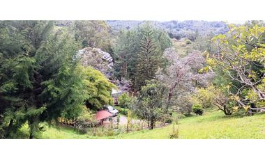 Finca en El Retiro