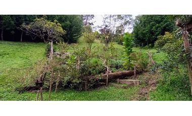 Finca en El Retiro
