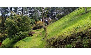Finca en El Retiro