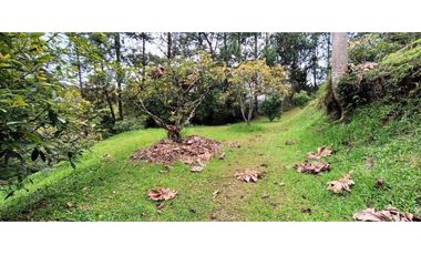 Finca en El Retiro